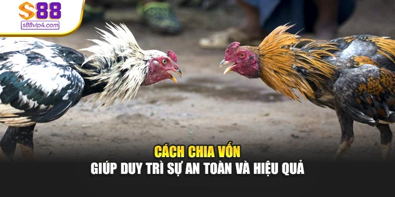 Cách chia vốn giúp duy trì sự an toàn và hiệu quả