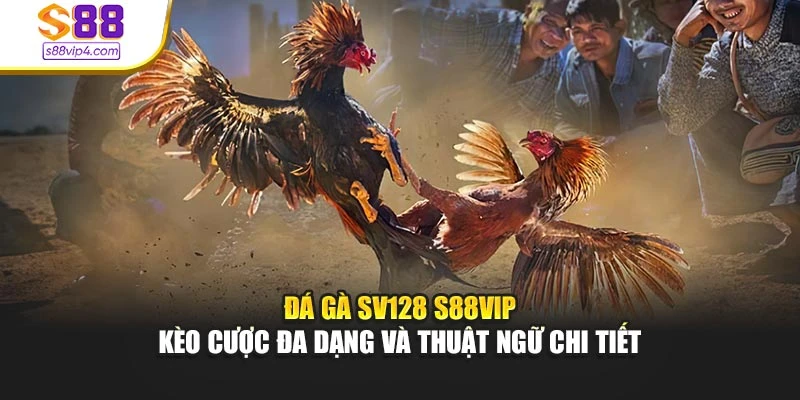 Đá Gà SV128 S88vip - Kèo Cược Đa Dạng Và Thuật Ngữ Chi Tiết