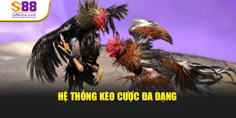 Hệ thống kèo cược đa dạng