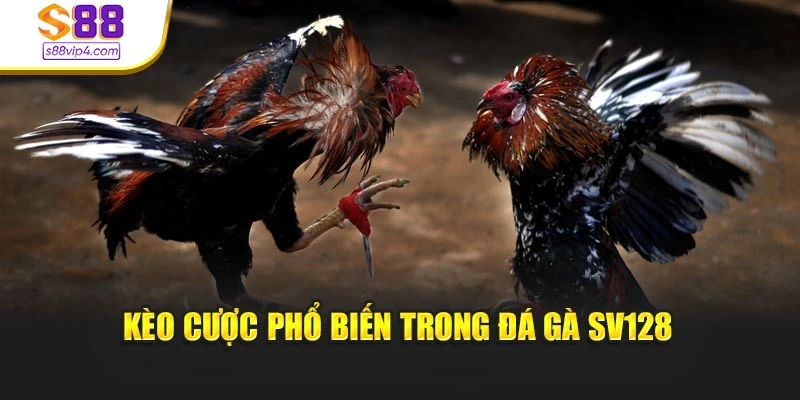 Kèo cược phổ biến trong đá gà SV128