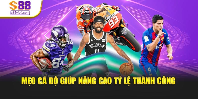 Mẹo cá độ giúp nâng cao tỷ lệ thành công