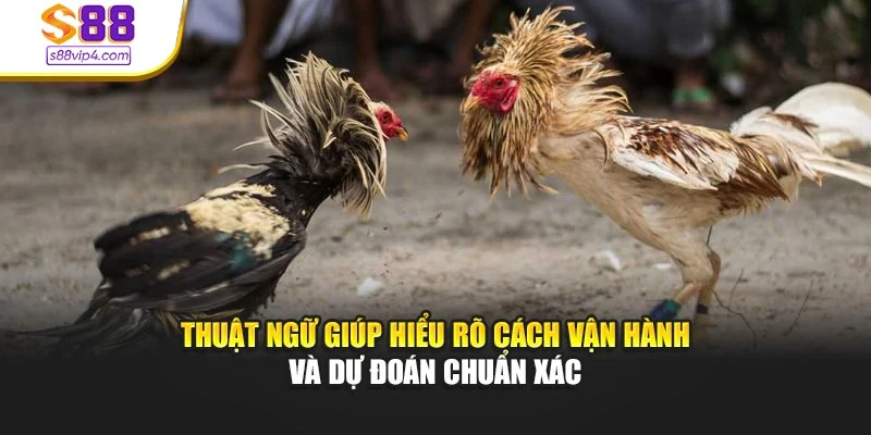Thuật ngữ giúp hiểu rõ cách vận hành và dự đoán chuẩn xác