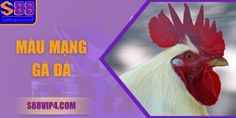 Màu Mạng Gà Đá Và Bí Quyết Để Chọn Chiến Kê Hợp Mệnh